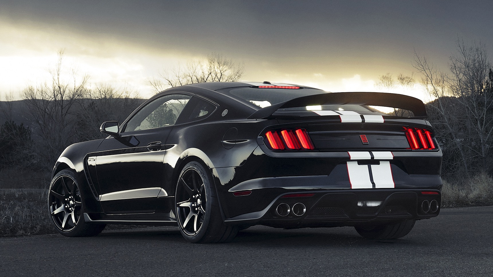 Ford Mustang nosaukuma izcelsme: pašā saknē divi spēki